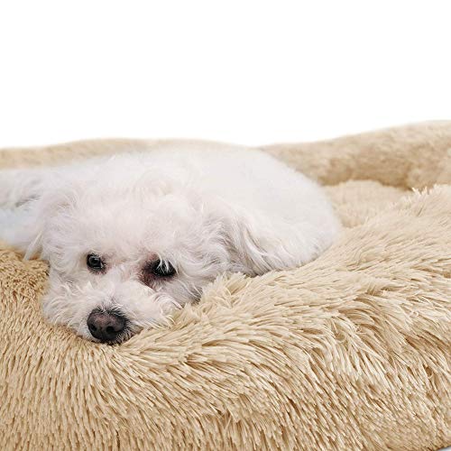 Lit pour chat et chien gris de 40cm lavable et doux