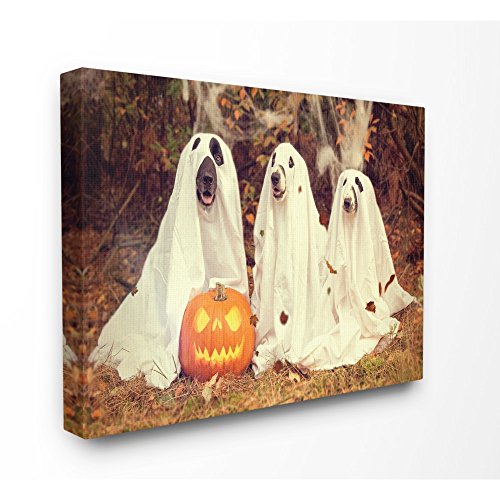 The Stupell Home Décor Collection Vintage Photography Halloween Pumpkin and
