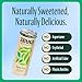 Zevia Zero Sugar Tea, Green Tea, 12 oz Cans (12-Pack) – Naturally Sweetened, Zero Calorie Sugar Free - Non-GMO Project Verified, Gluten-Free, Vegan
