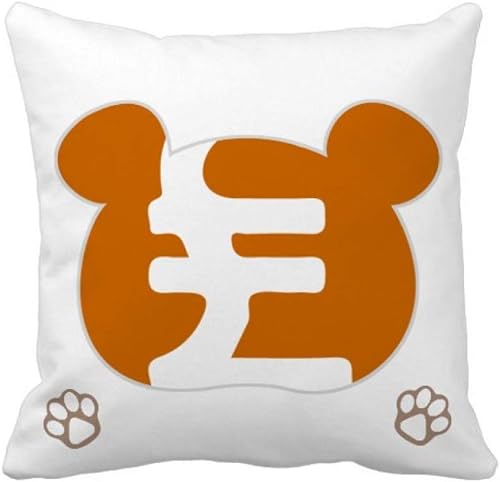 OFFbb-USA Turkey Currency Symbol Lira Try Bear Throw Pillow Square Cover