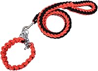 Vista 21 de Love Dream Juego de collar y correa para perro, cuerda trenzada de nailon resistente, correa fuerte de 4 pies para perro y collar de entrenamiento