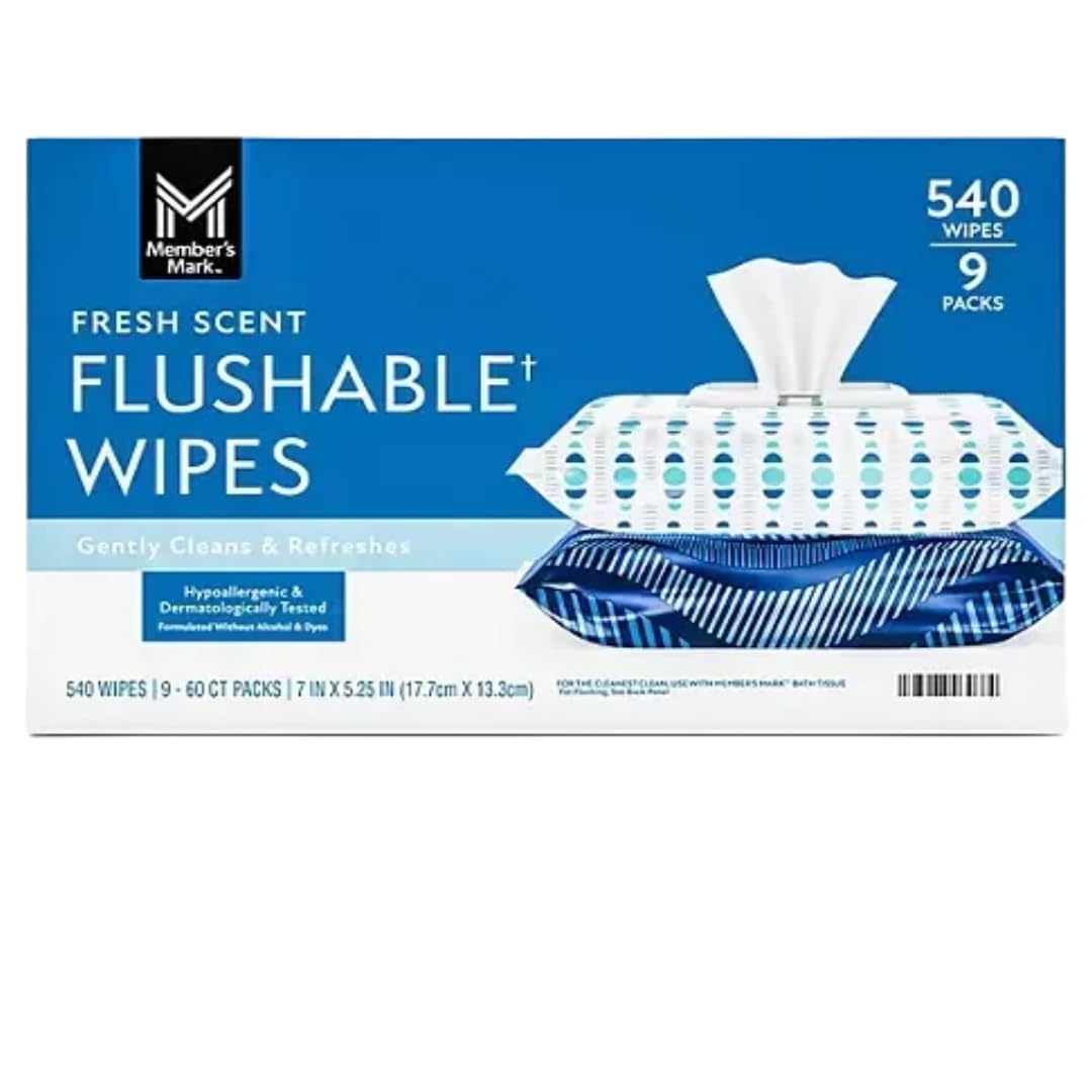 Fresh Scent Flushable Wipes, 9 pack of 60 wipes, 540 Count (9 Count(1 Pack))