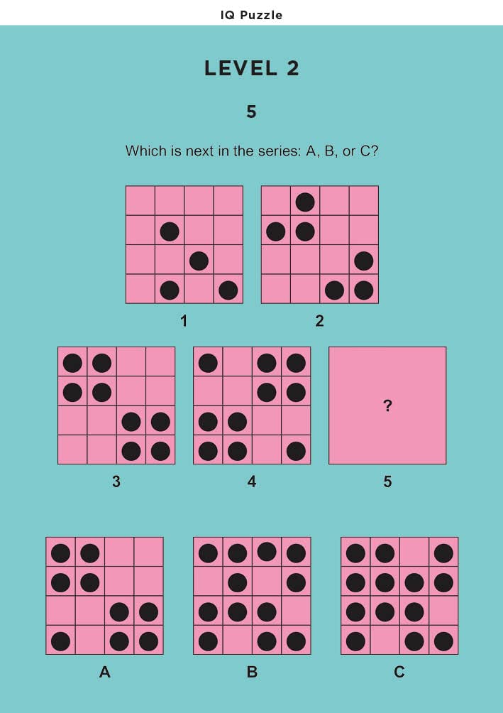 Boost Your IQ: Includes 64-page Puzzle Book, 48 Cards and a Press-Out Tangram Puzzle to Test Your Brain Power