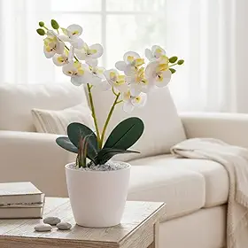 Vaso com flor de Mini orquídeas Brancas em silicone com vaso pratico e moderno e decorativo