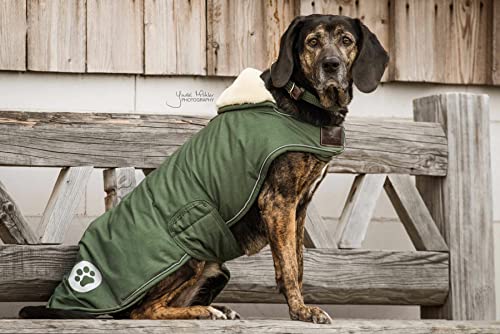 Kentucky Hundemantel - Wasserdicht Grün 300g - L - 51-59cm