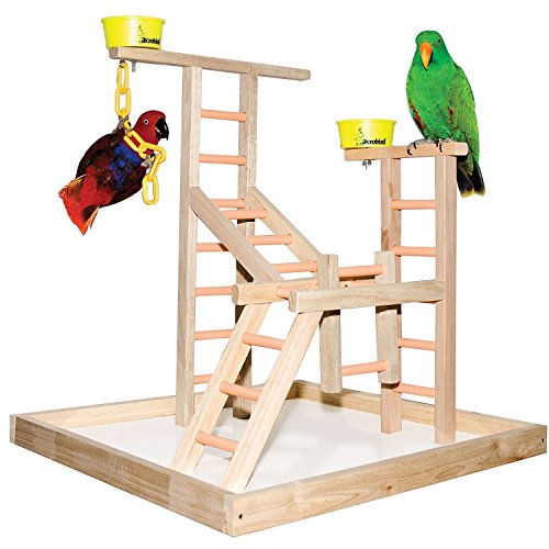 Acrobird PL 20 2-Cup and Chains Pet Toy, 20-Inch