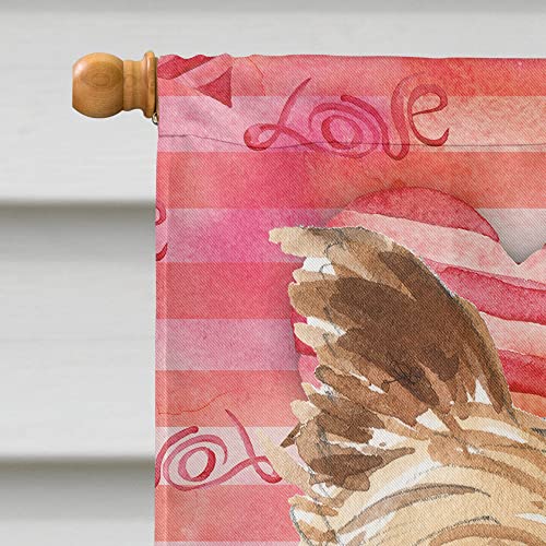 Yorkshire Terrier Flag Caroline's Treasures pavillon multicolor grand format pour maison - 4