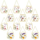 12 Pcs Pressed Flower Frames Craft Kit for Adults Double Glass Frame Decor