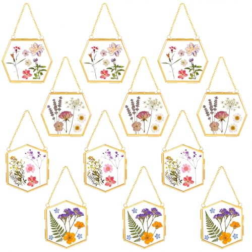 12 Pcs Pressed Flower Frames Craft Kit for Adults Double Glass Frame Decor