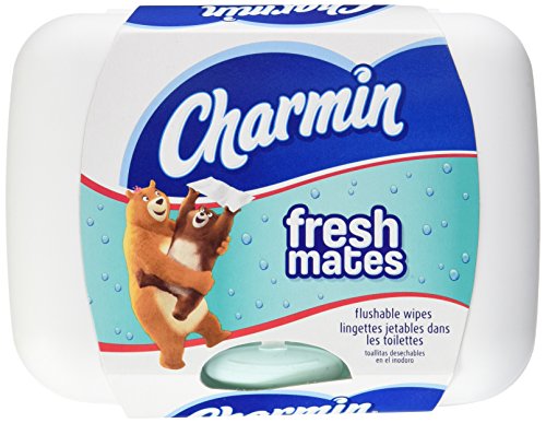 Charmin Freshmates Flushable Wipes 40 Count - with Refillable Tub