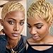 Amecire Brazilian Human Hair Pixie Cut Wig for Women Honey Blonde 180% Density Straight Short Wig with Bangs Non Lace Front Rose Net Cap for Party Cosplay Daily Use