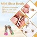 Wshxjzyay 30 Pack Small Glass Bottles with Cork Stoppers, Small Mini Glass Bottles Tiny Jars with Cork Lids, 1ml