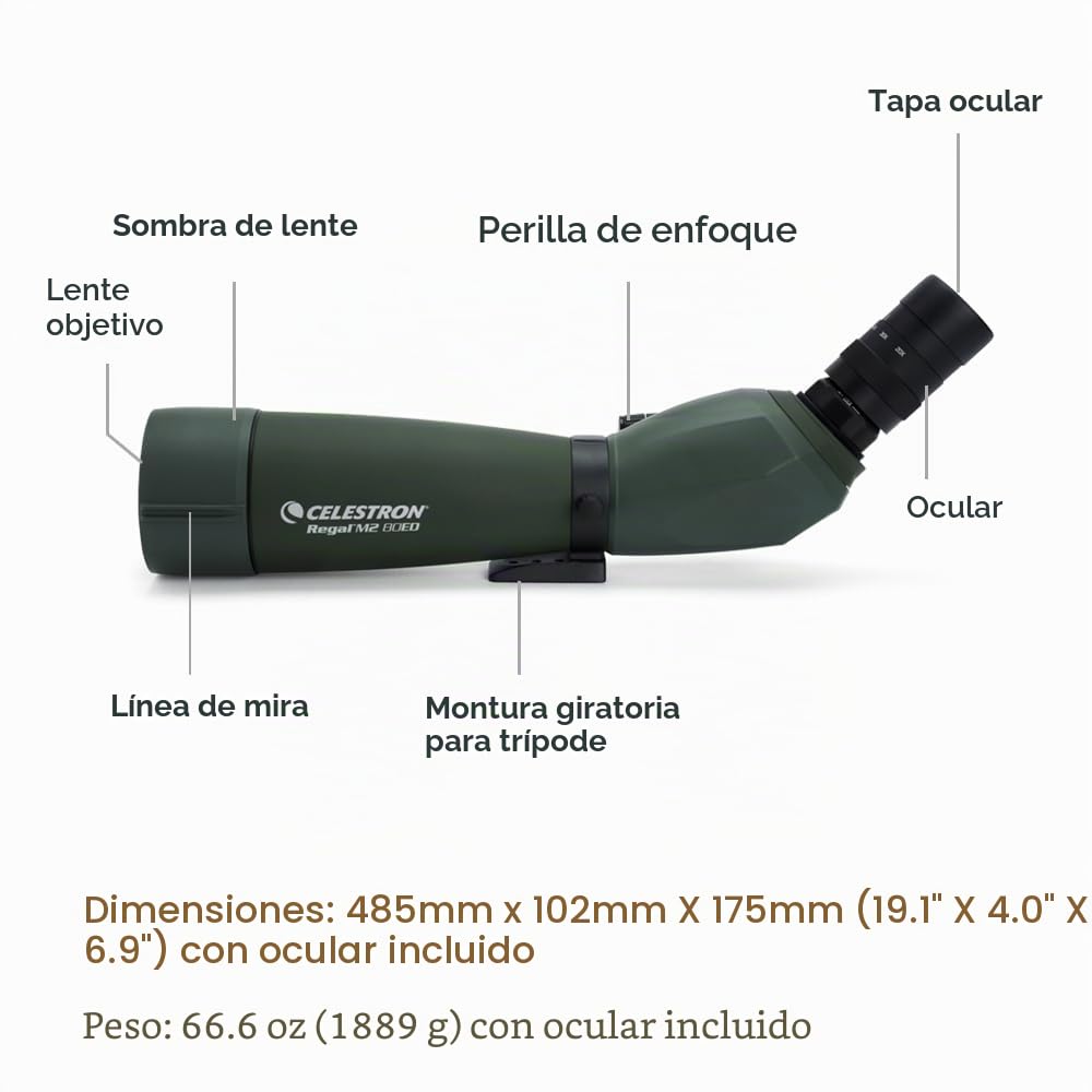 Celestron 52305 Regal M2: telescopio terrestre con zoom angular ED de 20-60x80 mm, con óptica multicapa, prismas de cristal BaK-4, cuerpo ligero de aleación de magnesio y funda de transporte acolchada