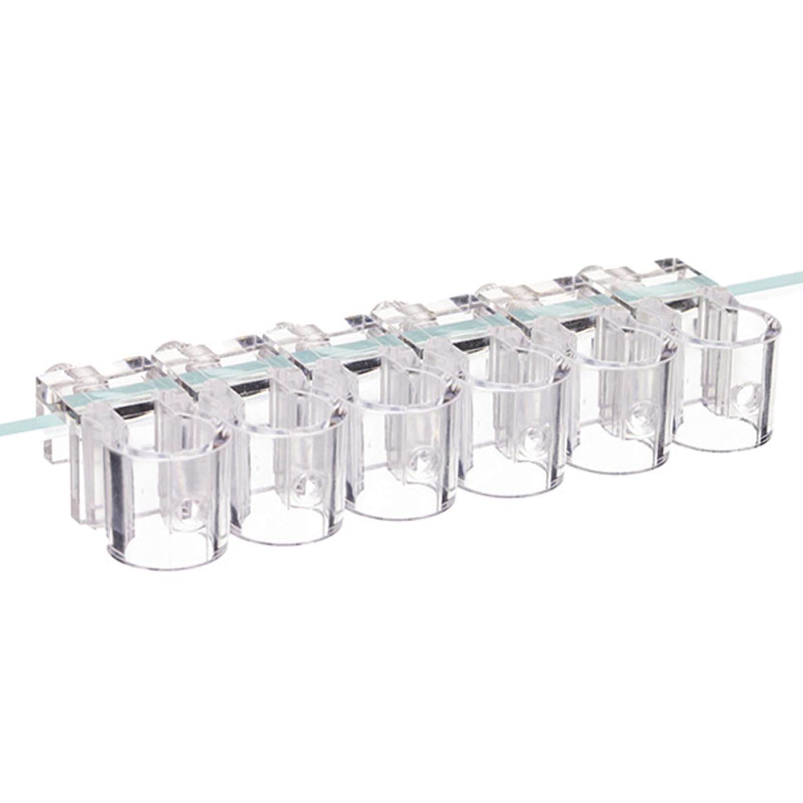 ZHANGYEZHAN 6 Divisions Plant Propagation Stands for Aquariums Highlighting Distribution Split Toe Root Health Hydroponic Plant Fish Cistern