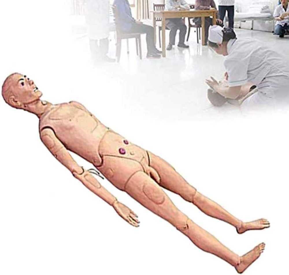 Mannequin Multifonctionnel de Soins Aux Patients, Simulateur de RCP avec Organes Interchangeables Masculins et Féminins, pour Formation Médicale Infirmière