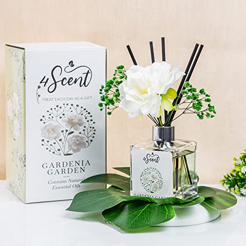 4Scent Reed Diffuser Set 6.7 Fl Oz With Preserved Gypsophila (Baby's Breath) And Artificial Gardenia For Home Fragrance And Decor | Aromatherapy With Essential Oil And Rattan Sticks | Gardenia Garden #TOP7