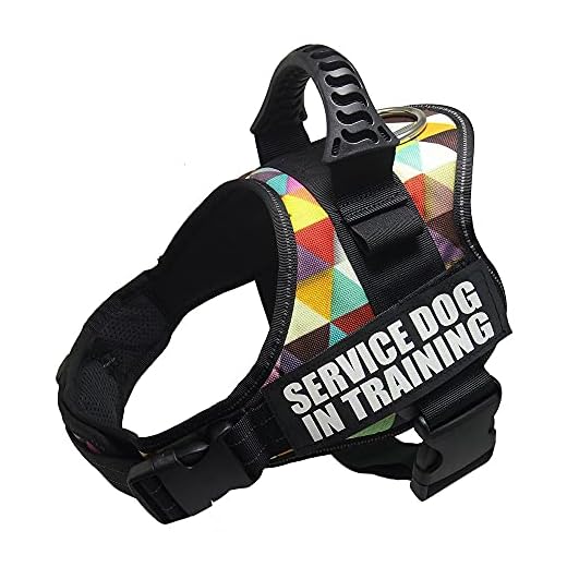 Hundsele hundsele nylon justerbar anpassa hundnamn för hundar väst halsband liten stor chihuahua husky hundtillbehör S Colorgrid