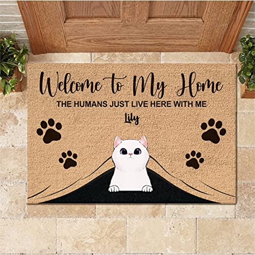Welcome to The Pet Home, One Cat, Personalized Door Mats for Front Door, Cat Doormat, Welcome Mat Funny - Welcome Home Gifts, Personalized Door Mats for Front Door