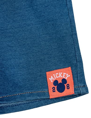 Image of Disney T-Shirt and French Terry Shorts Outfit Set Newborn to Little Kid Sizes (Newborn - 5)