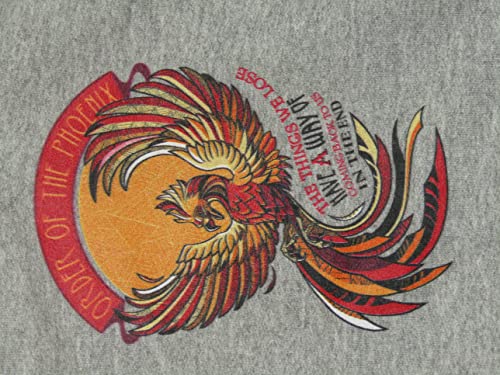 Bioworld Harry Potter Order Of The Phoenix Classic Emblem Youth Athletic Heather Graphic Hoodie - S #TOP1