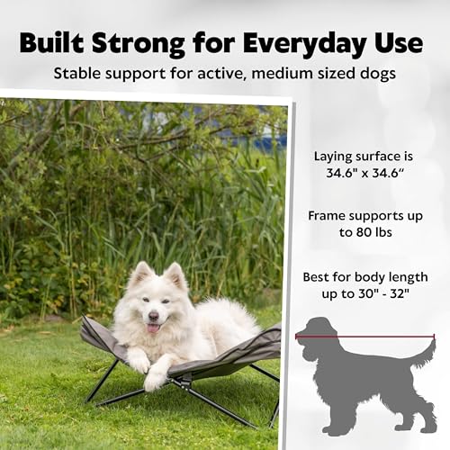 TRIXIE Camping Cot for Dogs, Elevated Dog Bed, Folding Padded Pet Bed, Raised Travel Lounger for Medium to Large Dogs by TRIXIE - Image 2