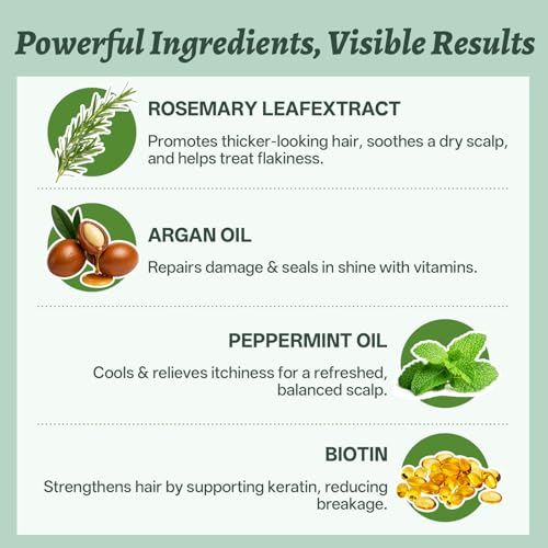 Image of Luseta Rosemary Mint Shampoo & Conditioner Set, 4-Pc | Rosemary Shampoo and Conditioner for Fine, Dry Hair, Refresh Scalp Feel, Add Lightweight Volume, Full Size + Travel Sizes