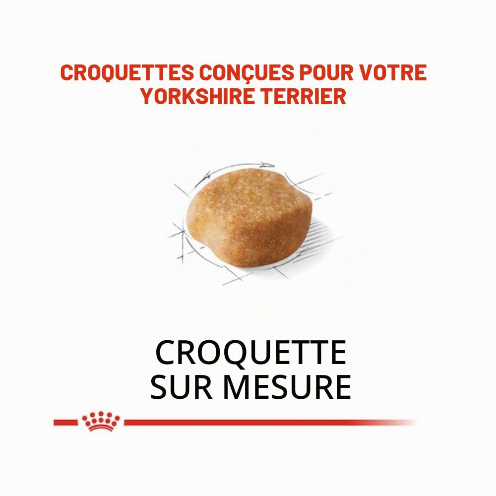 Royal Canin Yorkshire Terrier Adult | Pack de 4 | 4 x 500 g | Croquettes pour Yorkshire Terrier Adulte | A partir de 10 Mois | pour Aider à Vieillir en Bonne santé