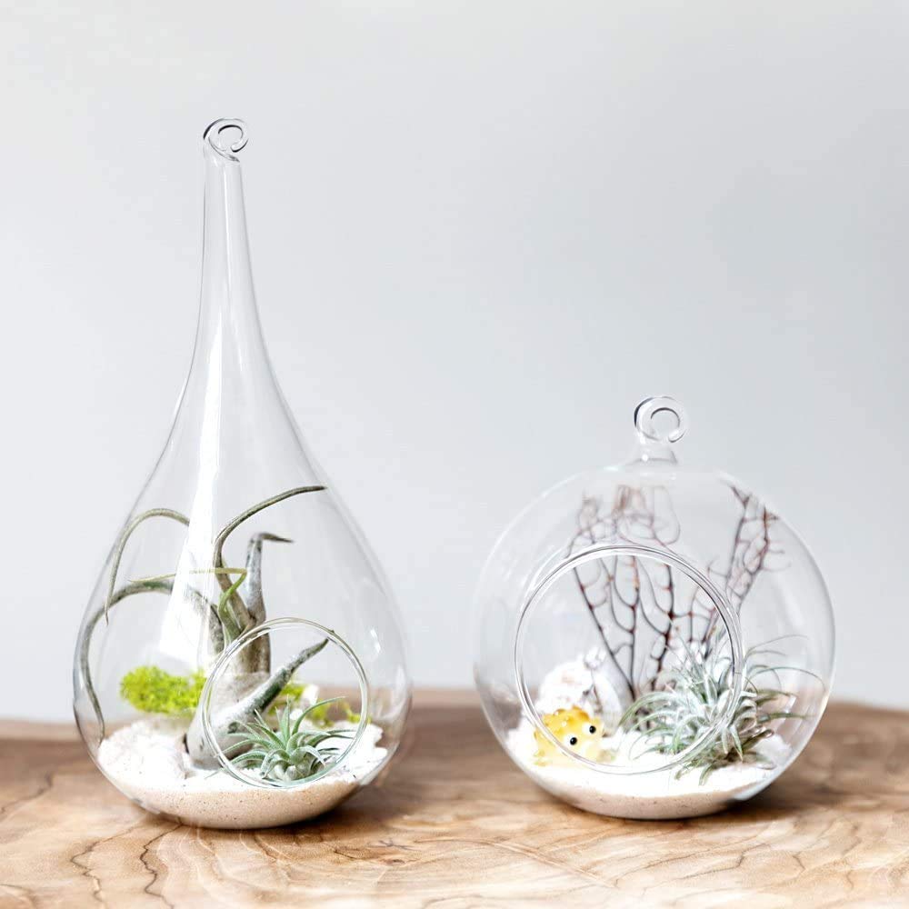 Lot De 6 Globes En Verre Suspendus Transparents - Pour Bougies Chauffe-plat, Petites Plantes Ou Décoration - Avec Cordes De Suspension - Diamètre Environ 9 Cm
