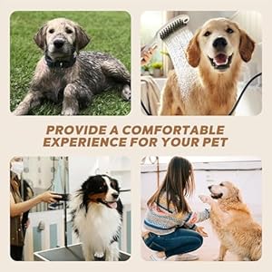 Dog dryer pet grooming hair dryer with heatervacuum  dryeradjustable speed and temperature control dog blower 4 different nozzles for home pet washing station travel   cucciolini doodles