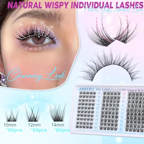 zanlufly Lash Clusters Wispy Eyelash Clusters Natural C-Curly Cluster Lashes zanlufly Wispy Individual Lashes 150Pcs Eyelash Extension 10 12 14MM DIY Lash Extensional Lash Clusters