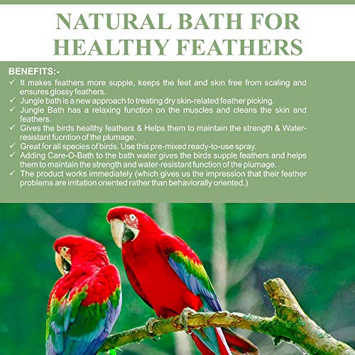 Image of Pet Care International (PCI) Bird Supplement Jungle Bath Spray || Provide Healthy Feathers || Healthy Bird Bath Healthcare (100ML, Jungle Bath)