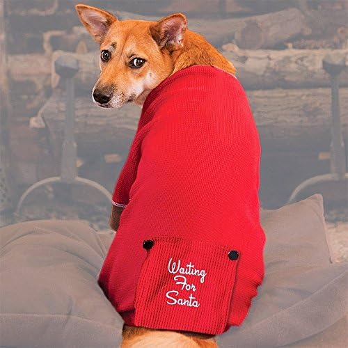 Fashion Pet (Ethical) DFHX0520 Thermal X-Mas Dog Waiting for Santa Pajamas, X-Small, Red