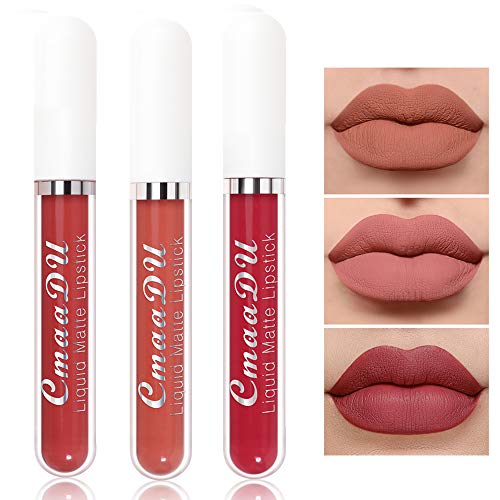 ETEDES Matte Liquid Lipstick, Moisturizing Velvet Lipstick,Long-Lasting Wear High Pigmented Not Fade Waterproof Lip Gloss Women Makeup 3 clours (Set #11)
