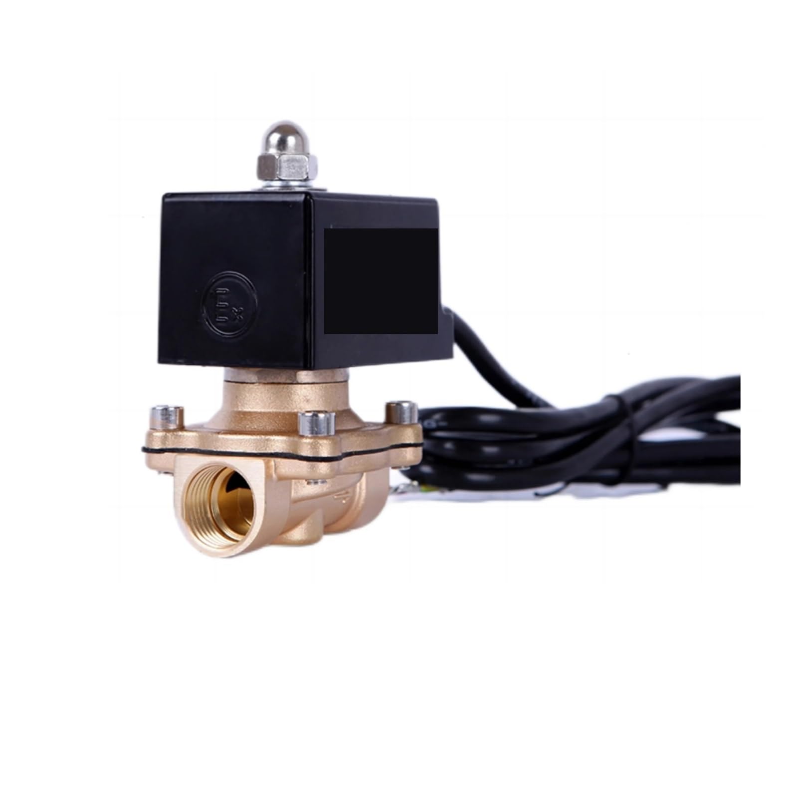 Électrovanne en laiton 2" AC220V pour sécuriser le chauffage au gaz GPL