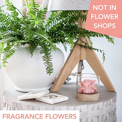 Home Scent 12Oz | Fragrant Fresh Cut Flowers Hydrated To Last 4 Months | Roses For Delivery Mothers Day | Birthday Gifts For Mom | Potpourri Alternative ( Pink | Scent : Fruity Floral #TOP4