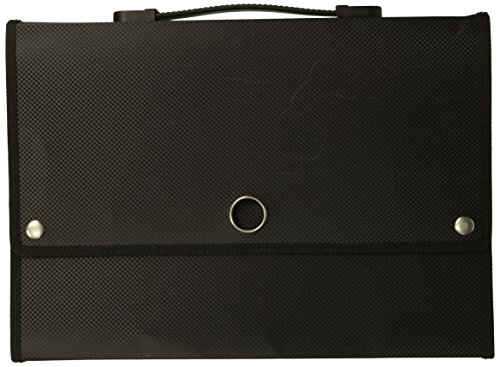 Snail&Hawk 13-Pockets Poly Accordion Expanding-File-Folder Organizer with Portable-Handle,A4 Size,Heavy Duty (Black)