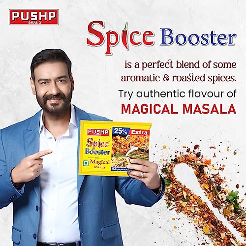 Image of Pushp Brand Spice booster 300gm and pasta Masala 300gm combo, (Pack of 40 Each), Natural Herbs, Seasonings | Exotic Spices