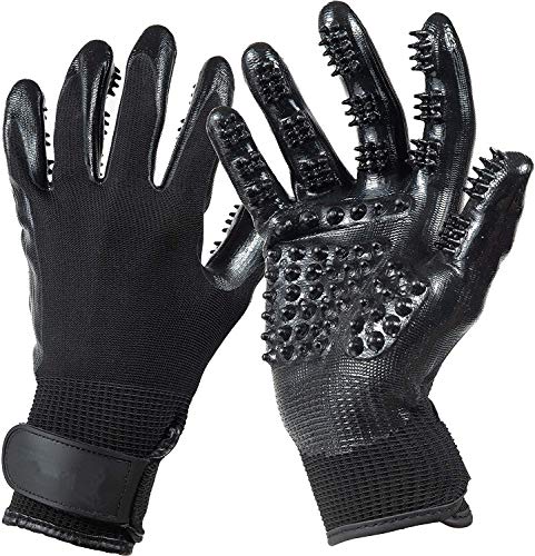 Horse Grooming Kit(10-Piece),Portable Storage Box,Horse Cleaning Tool Set with Assorted Hair and Curry Brushes, Hoof Pick Sweat Scraper,Grooming Glove,Riding Equipment for Beginners.