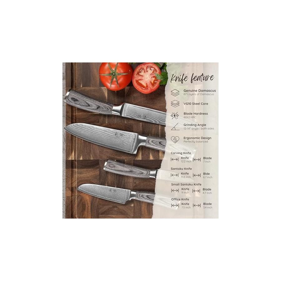 Wakoli 4 Piece Professional Damascus Kitchen Knife Set, Made of 67 Layers of Genuine Damascus Steel with VG10 Core, Professional Kitchen Knife Set for Kitchen with Ergonomic Pakkawood Handles (EDIS)