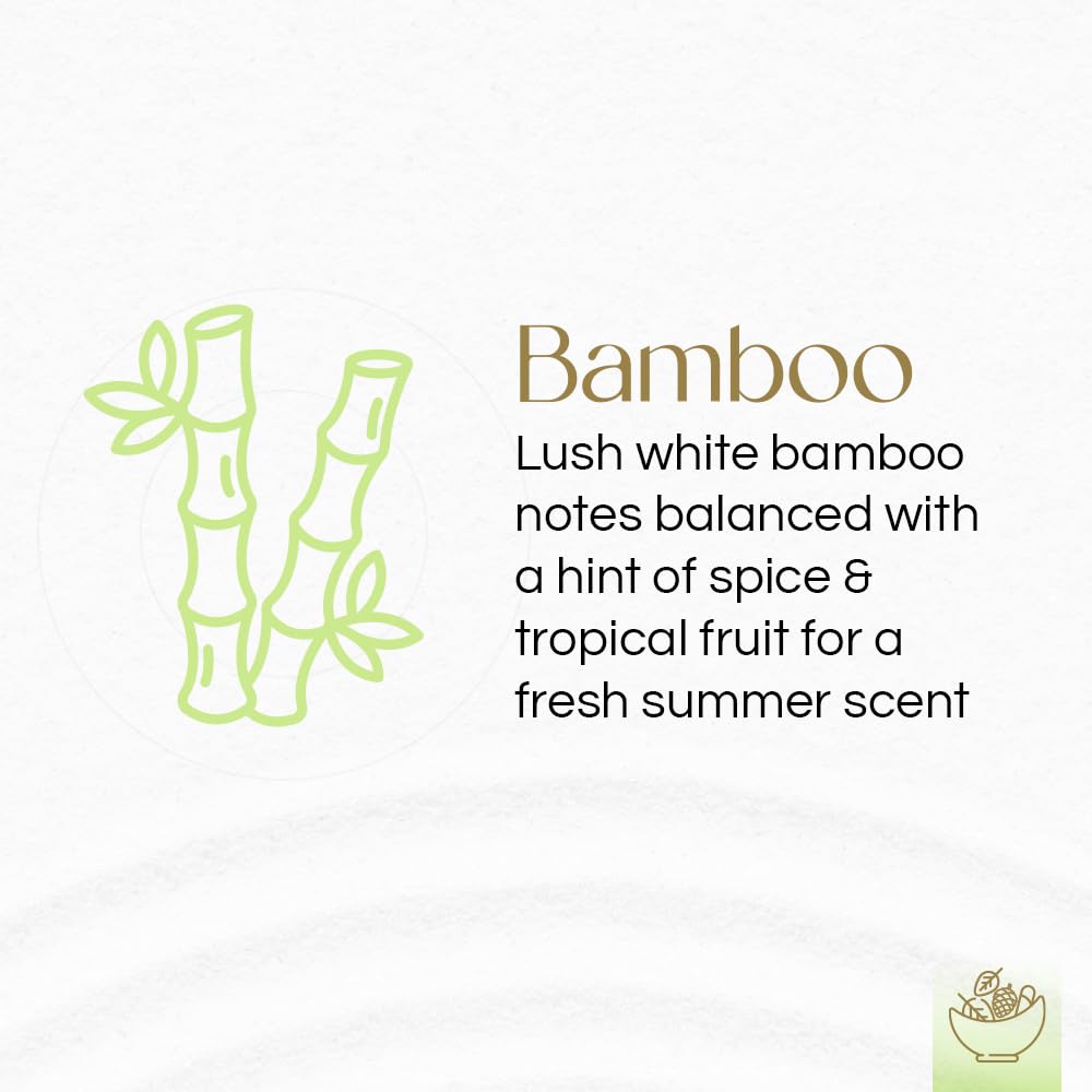 Gonesh - Potpourri - Home Decor - Natural Botanicals & Fresh Fragrances -Bamboo Scent - 12 oz. Acetate Gift Box