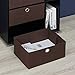 Furinno Andrey Multipurpose Storage Cabinet, Dark Walnut