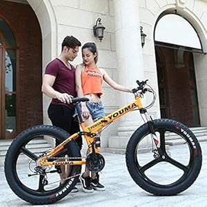 TRGCJGH Mountain Bikes Foldable 26 Inch, Fat Tire Mountain Trail Bike, High-carbon Steel Frame Dual Disc Brake Bicycle,21/24/27 Speed,C-27speed