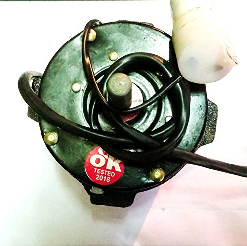 SYMPHONY Cooler Motor : Amazon.in: Home 