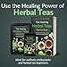 The Healing Herbal Teas Beginners' Guide [All-in-1]: Everything on How to Brew, Enjoy, & Benefit from Therapeutic Brews. Featuring 100+ Recipes for Stronger Immunity & Lifelong Vitality