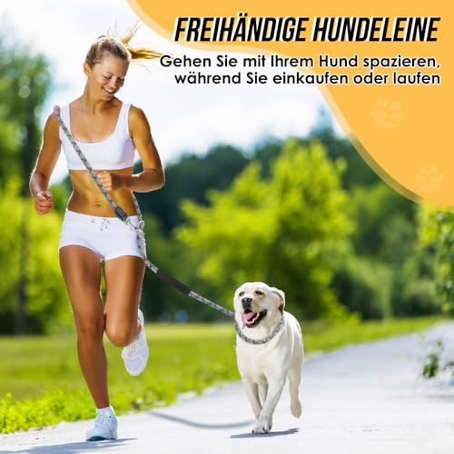 Eyein Hundeleine 3m für Kleine mittelgroße Hunde, 8in1 Schleppleine mit 3 Verstellbare Schnalle und Griffen, Reflektierende Doppelleine für 2 Hunde - Unter 100KG, Verdickte Freihandleinen, Hellgrau
