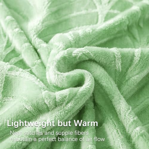 Whale Flotilla Flannel Fleece Throw Blanket for Couch, Soft Fluffy Velvet Sofa Blanket with Decorative Vintage Pattern for All Season, Warm and Lightweight, 50x60 Inch, Light Green
