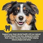 Canine Naturals Chicken Dipped Cow Ears for Dogs - 3 Count | Natural Long Lasting Dog Chew | Made with Real Chicken | Rich in Collagen - Image 5