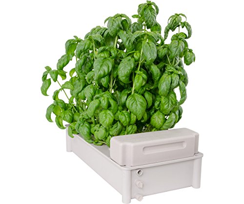 Hydrofarm GCSB Box Kit Hydroponic Salad Garden - Thumbnail 2
