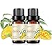 2-Pack Mango Essential Oil - 100% Pure Organic Natural Plant (Mangifera Indica) Mango Oil for Diffuser, Aromatherapy, Spa, Massage, Yoga, Perfume, Body - 2x10ML