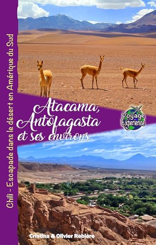Atacama, Antofagasta et les environs: Chili